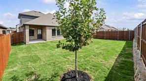 4829 Silver Touch Road - Photo 4