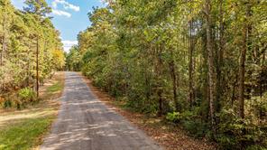 TBD County Road 4558 - Photo 1