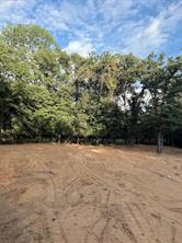 1624 Mockingbird Lane - Photo 1