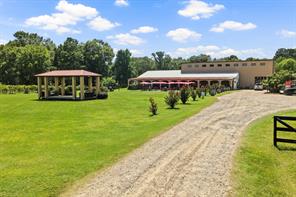 658 County Road 1334 - Photo 1