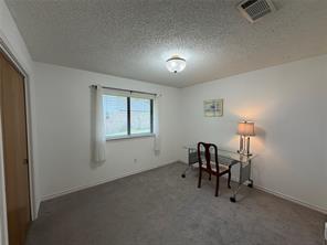 910 Village Green Drive - Photo 19