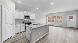 10613 DIAMOND MINE Drive - Photo 8