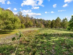 Tract 3 US Hwy 90 Alt - Photo 29
