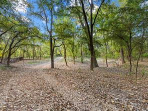 Tract 4 US Hwy 90 Alt - Photo 28