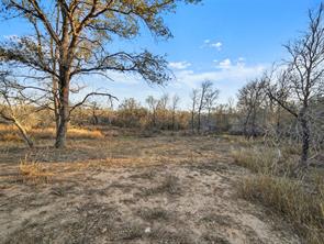 Tract 4 US Hwy 90 Alt - Photo 33