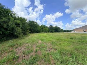 6254 Turkey Oak - Photo 3