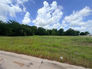 6254 Turkey Oak - Photo 6