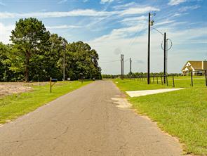 10375 County Road 338 - Photo 7