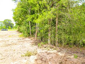 10375 County Road 338 - Photo 8