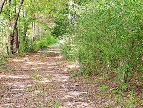 10375 County Road 338 - Photo 9