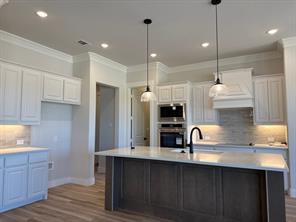 309 Texas Sage Trail - Photo 4