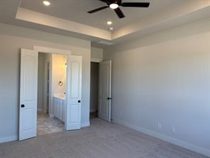 309 Texas Sage Trail - Photo 7