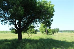 TBD Hay Valley Road - Photo 11