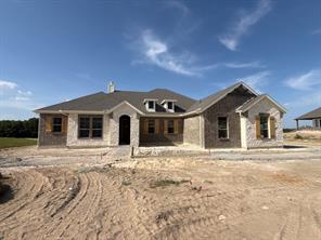 445 Texas Sage Trail - Photo 1