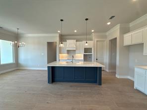 445 Texas Sage Trail - Photo 3