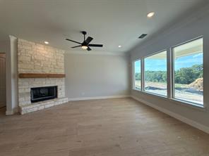 445 Texas Sage Trail - Photo 4
