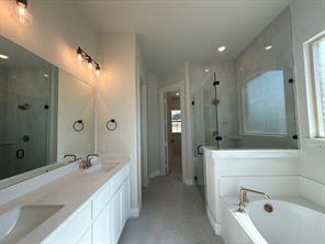 445 Texas Sage Trail - Photo 6