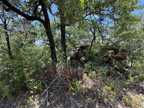 1002 Boulder Drive - Photo 4