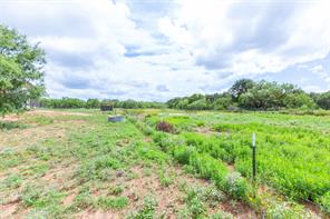 5280 Peppergrass Lane - Photo 16
