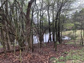 7900 FM 3136 Road - Photo 15