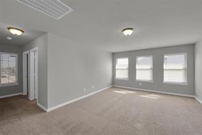 6401 Longhorn Herd Lane - Photo 12