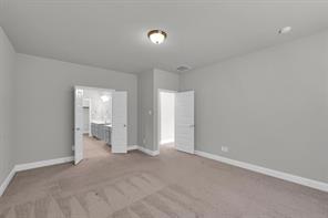 6401 Longhorn Herd Lane - Photo 9