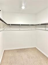 2624 Wellington Lane - Photo 8