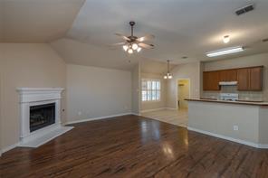 306 Tarpan Trail - Photo 4