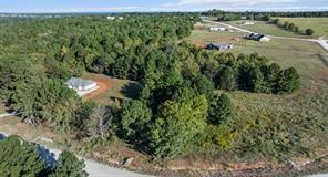 17218 Stella Maris Street - Photo 10
