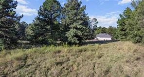 17218 Stella Maris Street - Photo 13