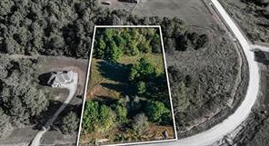 17218 Stella Maris Street - Photo 2