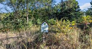 17218 Stella Maris Street - Photo 3