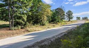17218 Stella Maris Street - Photo 4