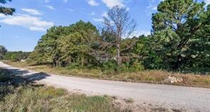17218 Stella Maris Street - Photo 5