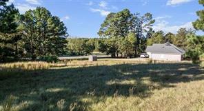 17218 Stella Maris Street - Photo 6