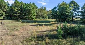 17218 Stella Maris Street - Photo 7