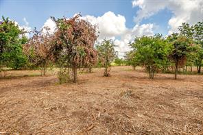 TBD-1 Clover Drive - Photo 11