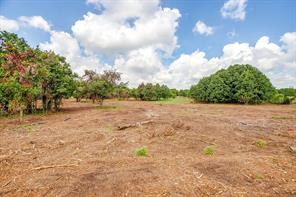 TBD-1 Clover Drive - Photo 12