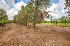 TBD-1 Clover Drive - Photo 3