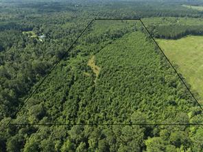 0000 County road 2339 - Photo 2