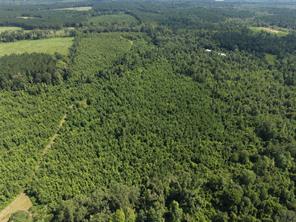 0000 County road 2339 - Photo 4
