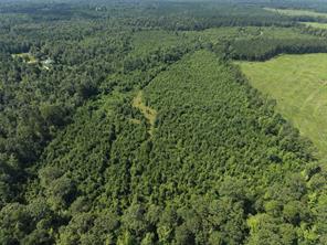 0000 County road 2339 - Photo 7