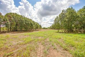 TBD-2 Clover Drive - Photo 10