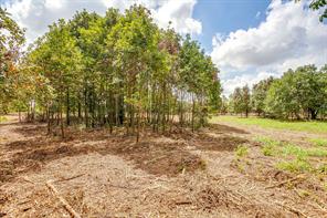 TBD-2 Clover Drive - Photo 11