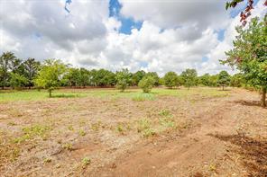 TBD-2 Clover Drive - Photo 8