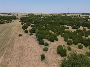 3757 FM 1434 - Photo 13