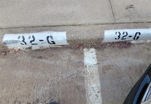 2103 Friendly Drive - Photo 11