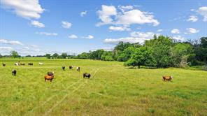 1080 Grand Oaks Ranch Road - Photo 1