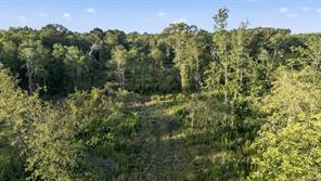 TBD 21 Acres CR 3116 - Photo 3