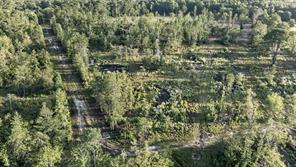 TBD 21 Acres CR 3116 - Photo 4